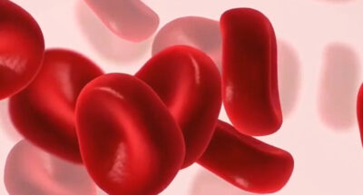 Контролировать уровень гемоглобина в крови рекомендуется регулярно